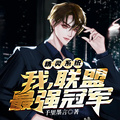 精靈系統：我，聯盟最強冠軍