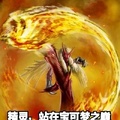 精靈，站在寶可夢之巔