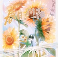 春日烈陽