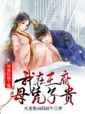 穿成陪嫁丫鬟，我在王府母憑子貴