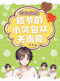 強勢寵溺：陸爺的小哭包從天而降