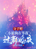 分手吧，小狼狗在等我過新婚夜