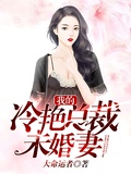 我的冷艷總裁未婚妻