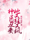 神醫丑妻她又狂又颯