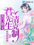 名門婚寵：君先生，請克制