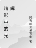 暗影中的光輝