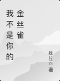 我不是你的金絲雀