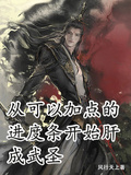 從可以加點的進度條開始肝成武聖