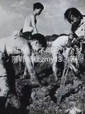 重生68，迫不得已下個鄉