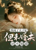 我成了太子妃，但未婚夫還不知道