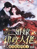 二婚嫁律政大佬，前夫孤獨終老了