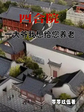 四合院：一大爺我想給您養老