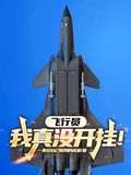 飛行員：我真沒開掛！