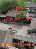 四合院之我是賈張氏的侄兒