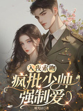 入夜索吻：瘋批少帥強制愛