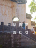 一犁春泥，一籃秋收