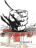 四合院，不服就干