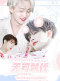 SEVENTEEN無可替代