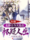 紅樓：北靜王今天也在懷疑人生