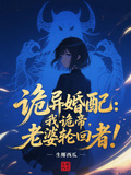 詭異婚配：我詭帝，老婆輪迴者