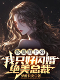 你選的乾弟，我只好閃婚絕美總裁