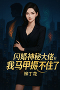 閃婚神秘大佬后，我馬甲捂不住了