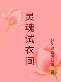 靈魂試衣間