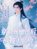 影視綜：穿到甄嬛傳后我成了弘曆