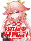 原神：我在稻妻開盲盒！