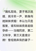 妻子又逃婚，我轉身迎娶她妹妹