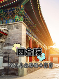 四合院我是易忠海的小舅舅