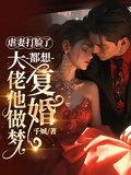 虐妻打臉了，大佬他做夢都想復婚