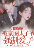 離婚後，被京圈太子爺強制愛了