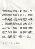 妻子白月光回來了，我也該走了