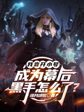 我靠開小號成為幕後黑手怎麼了？