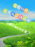 穿越紅樓，王夫人選擇鹹魚