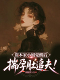 資本家小姐覺醒后，揣孕肚追夫！