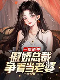 一夜成神，傲嬌總裁爭著當老婆