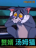 贅婿湯姆貓