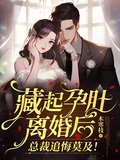 藏起孕肚離婚後，總裁追悔莫及！