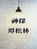 神探譚松林