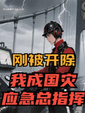 剛被開除，我成國災應急總指揮