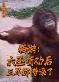 西遊：大聖聽勸后，三界都懵逼了
