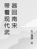 帶著現代武器回南宋