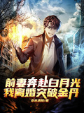 前妻奔赴白月光，我離婚突破金丹