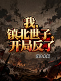 我，鎮北世子，開局反了