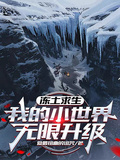 凍土求生：我的小世界無限升級