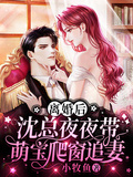 離婚後，沈總夜夜帶萌寶爬窗追妻