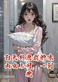 白天折磨我的冰山女上司，一到晚上就抱著枕頭來我家
