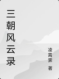 三朝風雲錄